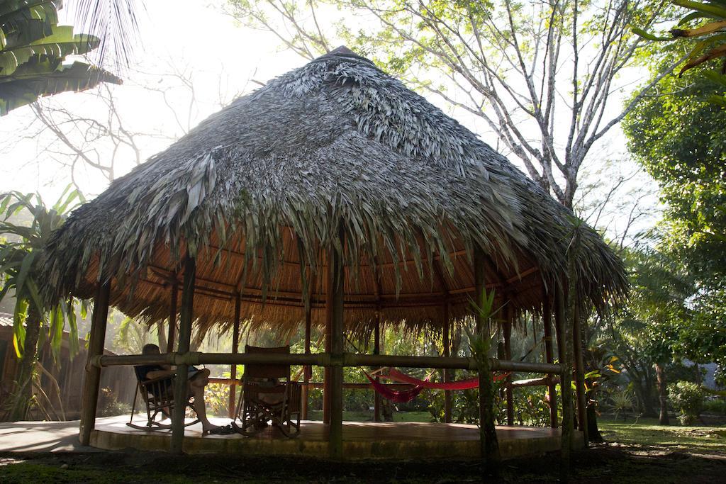 טורטוגוארו Turtle Beach Lodge מראה חיצוני תמונה