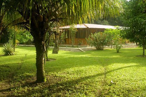 טורטוגוארו Turtle Beach Lodge מראה חיצוני תמונה